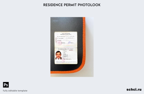 скачать в цифровом виде шаблон фотовида на жительство в РФ для иностранного граж